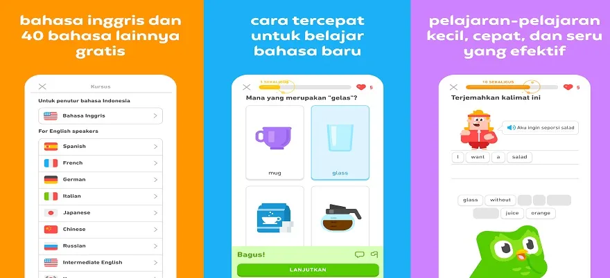 Duolingo Mod Apk Duolingo Mod Apk
